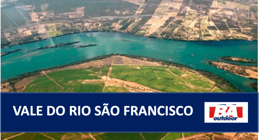Anuncie no Vale e colha bons frutos