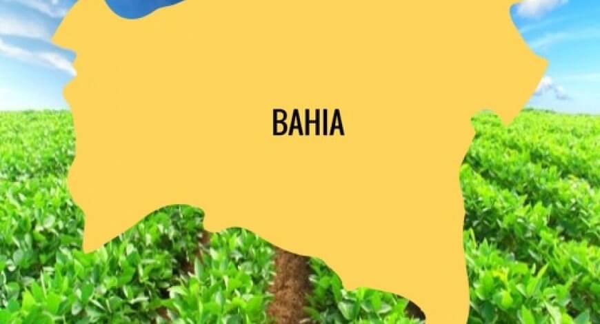 O forte crescimento do Agroneg&oacute;cio na Bahia