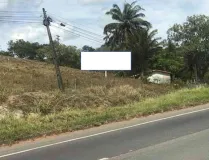 Ponto nº 242GI