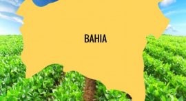 Ponto nº O forte crescimento do Agronegócio na Bahia